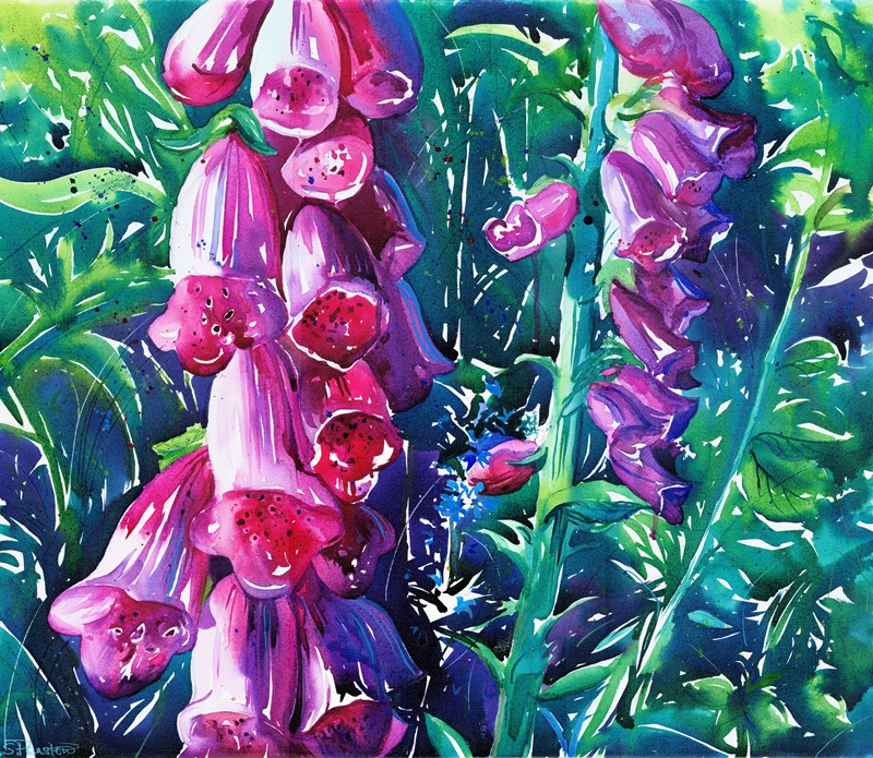 FOXGLOVES