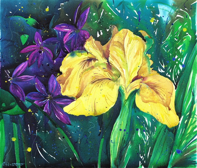 Iris 'Yellow Flag'