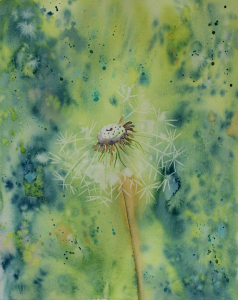 dandelion clock 72