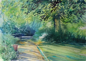 a cornish garden 72