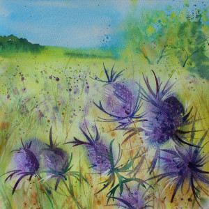 thistles 72