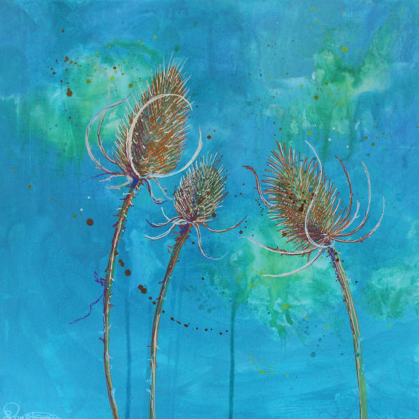 teasels 72 2