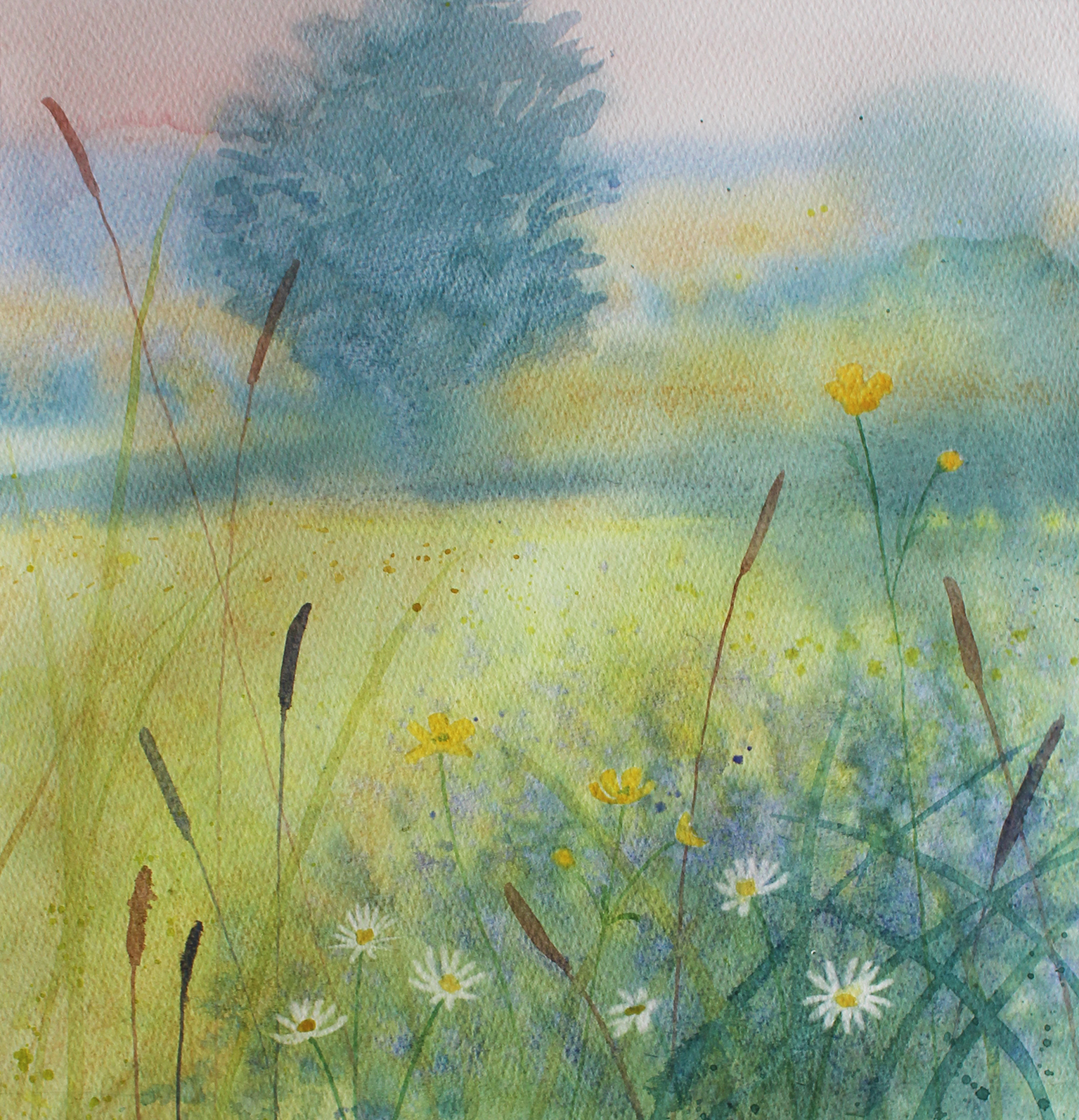 spring meadow 72