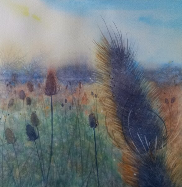 Autumn Teasels