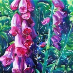 Foxgloves