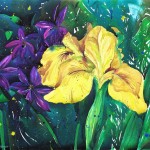 Iris, Yellow Flag