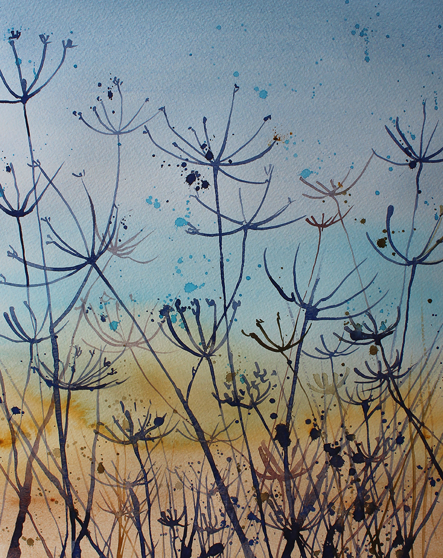 Cowparsley