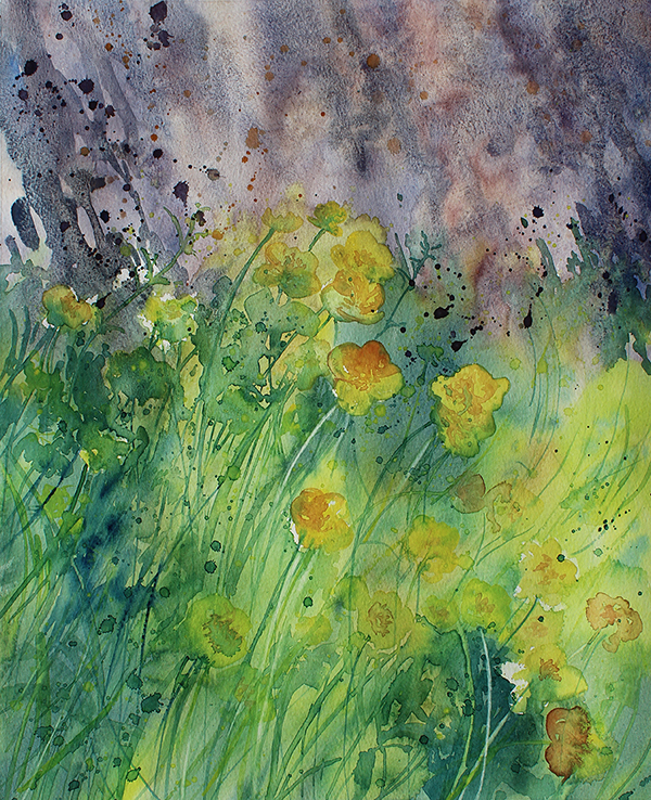 Buttercups