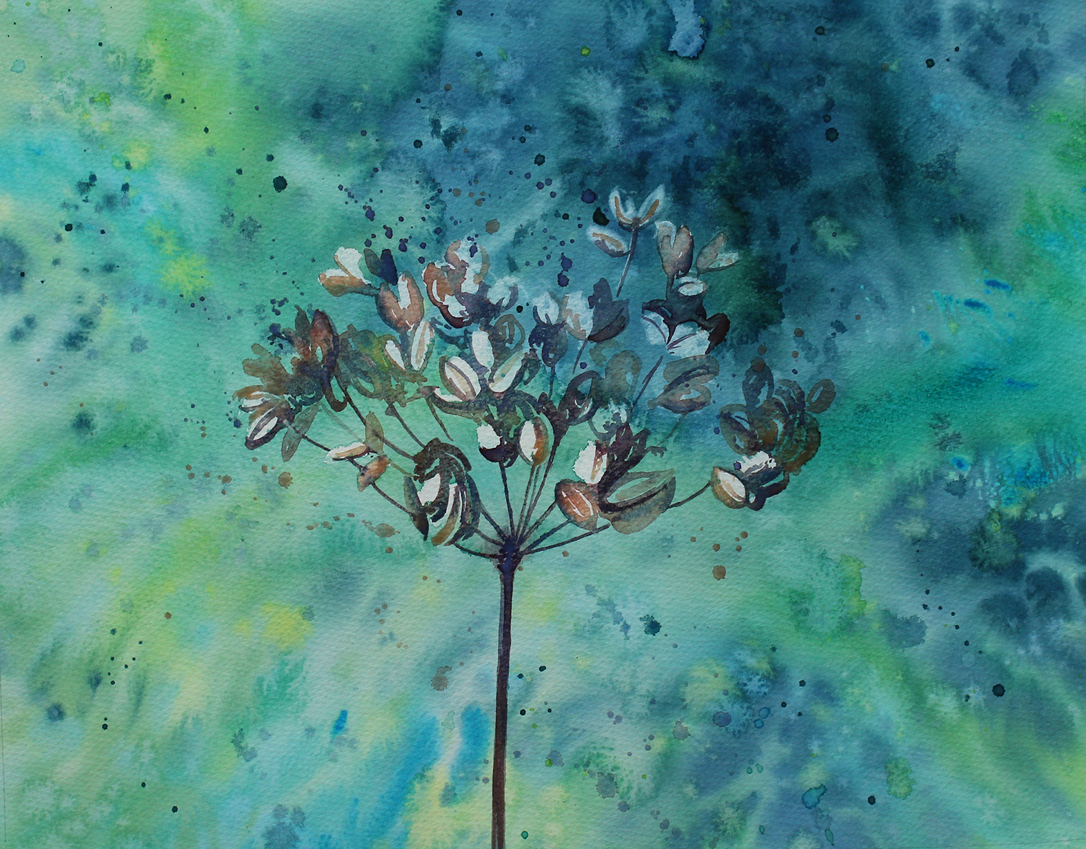 Cowparsley 2