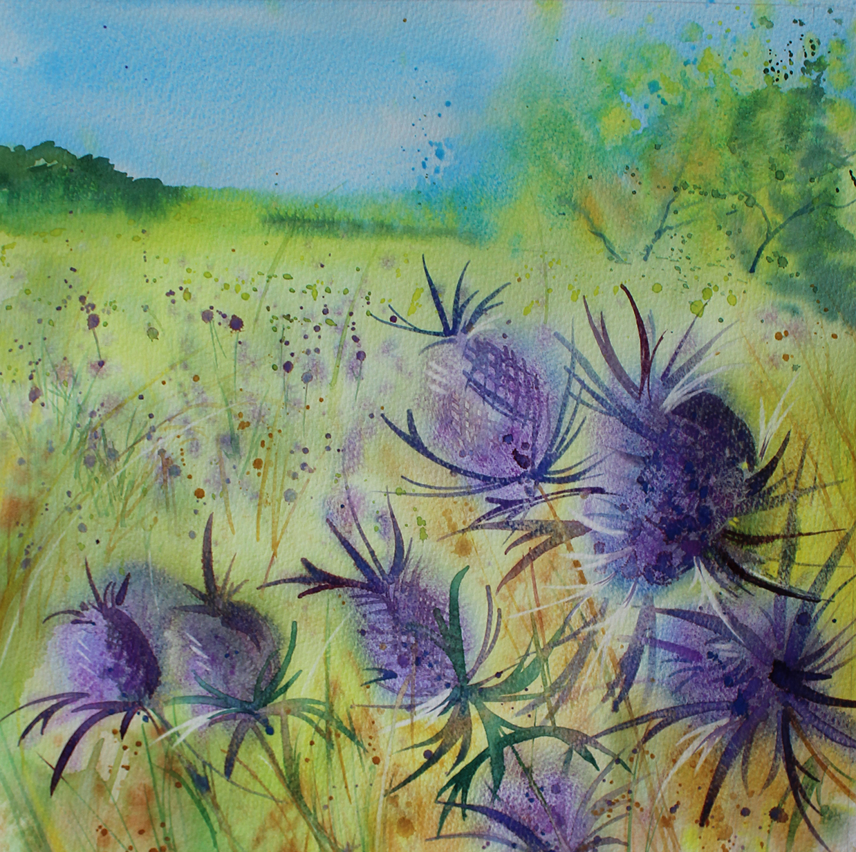 Purple Thistles