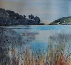 Swanpool, Falmouth