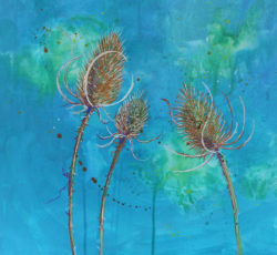 Teasels