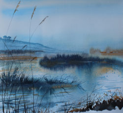 Winter On The Marsh