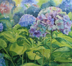 Autumn’s Hydrangeas