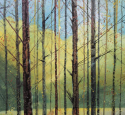 The Pine Forest