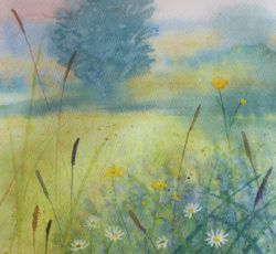 A Spring Meadow