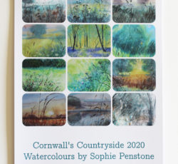 2020 Cornwall Countryside calendar