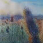 Autumn Teasels