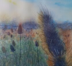 Autumn Teasels