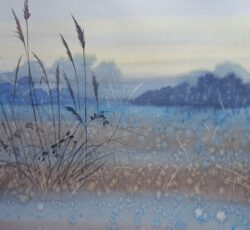 Winter Blues